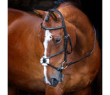 *Velociti RAPIDA Grackle Bridle
