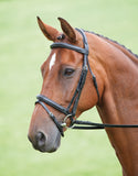 *Salisbury Bodenham Bridle (293)