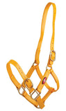 Zilco 25mm PN Halter (5445)