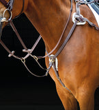 *Salisbury Five Point Breastplate