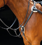 *Salisbury Five Point Breastplate