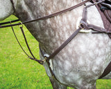 *Salisbury Five Point Breastplate