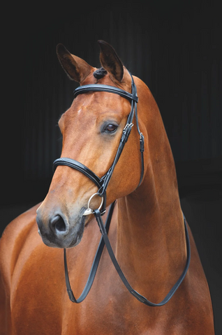 Salisbury Fairford Bridle 292