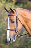 Salisbury Fairford Bridle 292