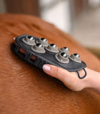 Massaging Grooming Glove (38276)